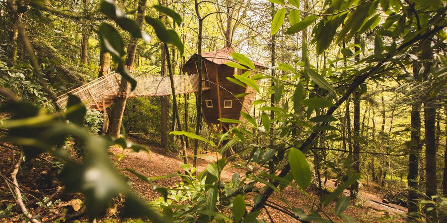 Hébergement AbracadaRoom : Cabane Ben Lomond - Image 1