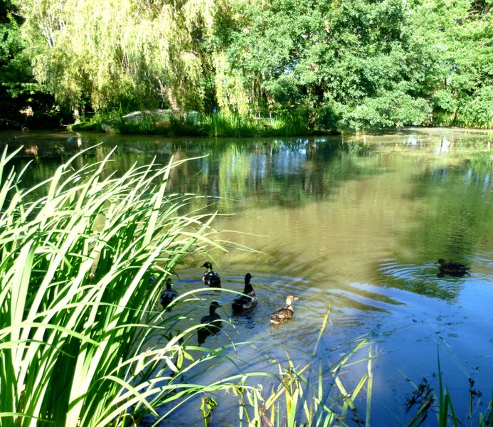 Domaine AbracadaRoom : Le Ranch Amadeus - Image 4