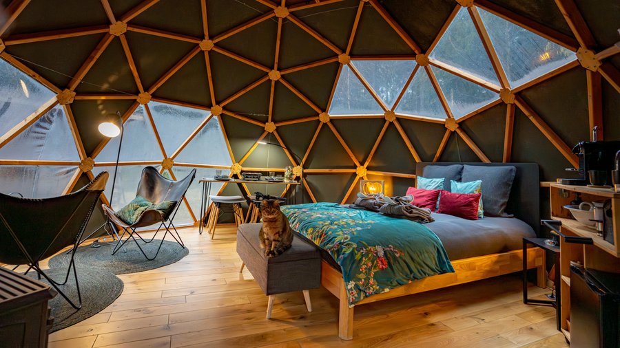 Hébergement AbracadaRoom : Dôme au milieu des Alpagas - Image 2