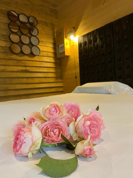 Hébergement AbracadaRoom : La Viticole - Image 14