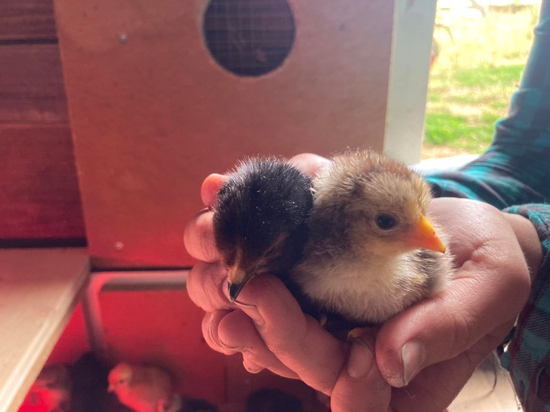 Domaine AbracadaRoom : Les Freytisses - Image 2