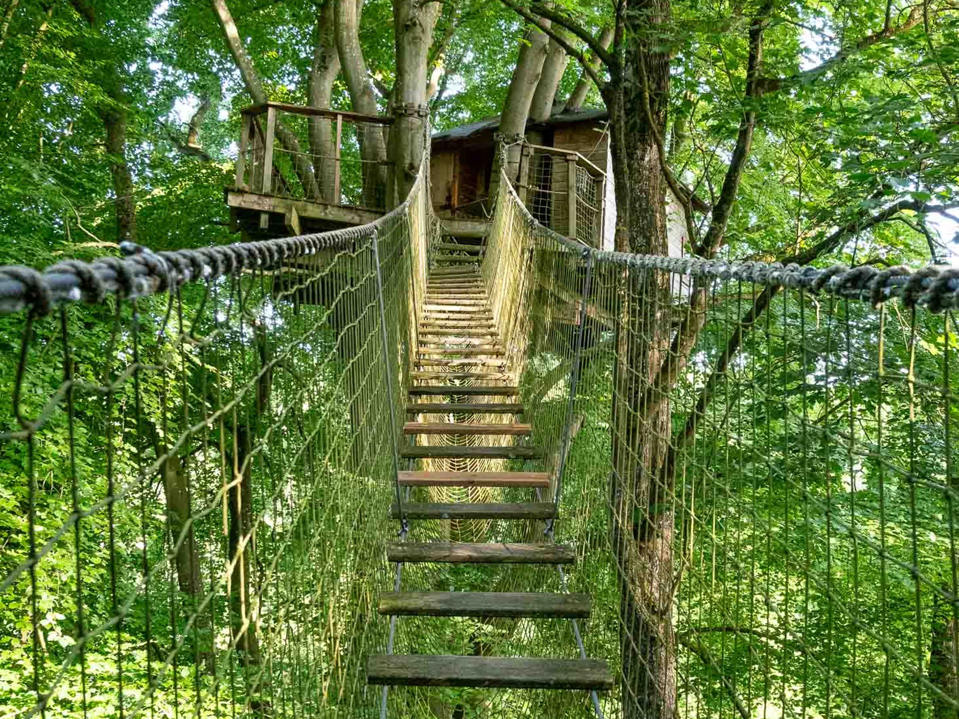 Cabane Mésange