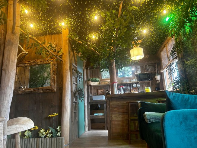 Hébergement AbracadaRoom : La Jungle Room de Paulette - Image 11