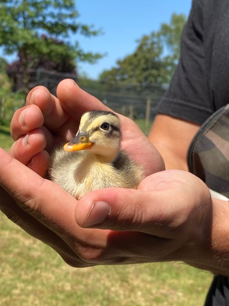 Domaine AbracadaRoom : Homnest (Uzemain) - Image 20