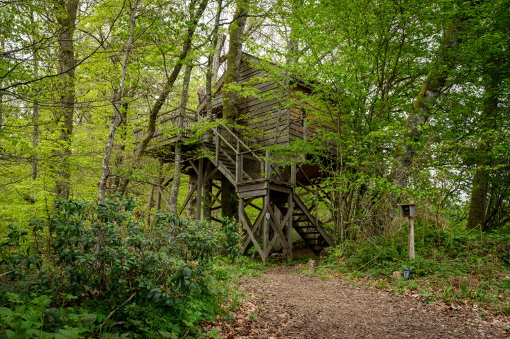Hébergement AbracadaRoom : La Pat' de l'ours - Image 1