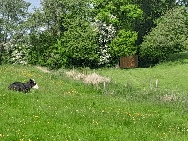 Hébergement AbracadaRoom : Gîte Spa Amazonia en pleine nature - Image 8