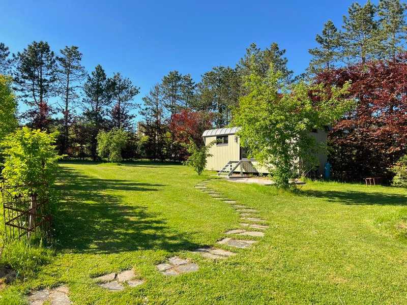 Domaine AbracadaRoom : Pine Tree tiny cottage - Image 7