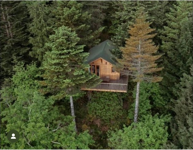 Hébergement AbracadaRoom : Cabane Séquoïa 1 - Image 5
