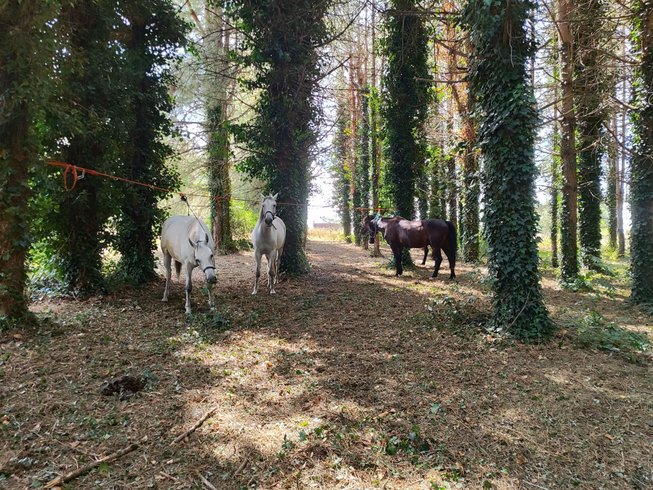 Domaine AbracadaRoom : Le Domaine des Anges - Image 12