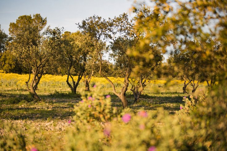 Hébergement AbracadaRoom : Homnest -Mélodie Provençale en Sainte-Baume - Image 21