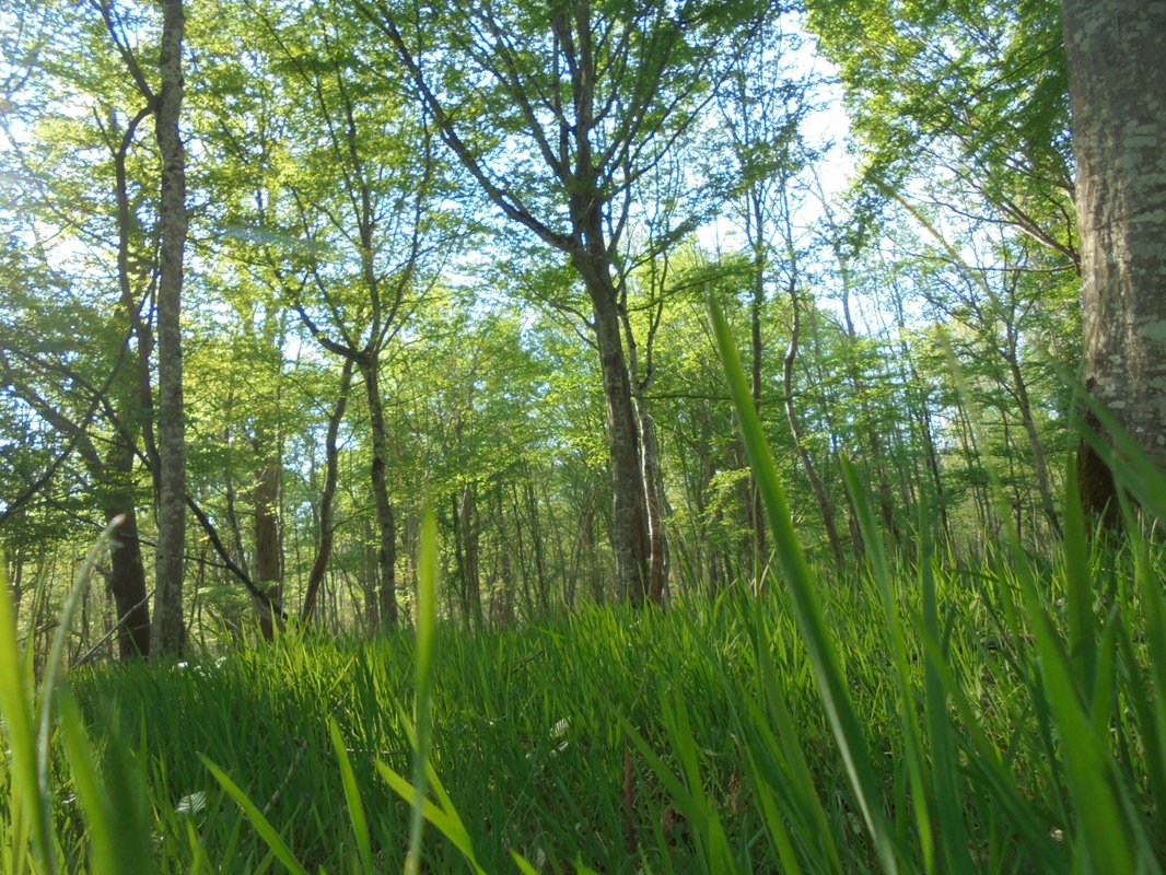 La Démaillère, Bain nordique & immersion à Lailly En Val (11)