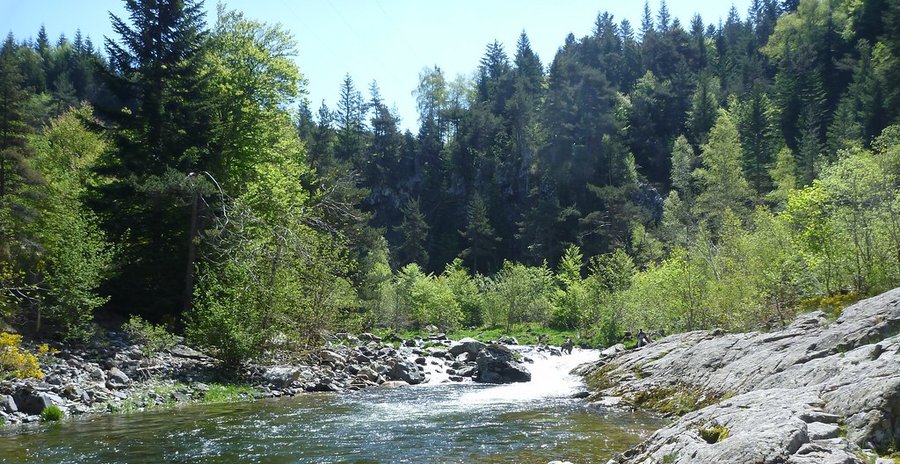 Domaine AbracadaRoom : ECOLIEUX l'Arbre de Vie en Ardèche - Image 34