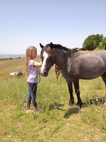 Hébergement AbracadaRoom : La Cabane perchée "A perte de vue" - Image 33