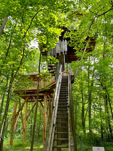 Hébergement AbracadaRoom : Cabane Spa Carpe Diem - Image 4