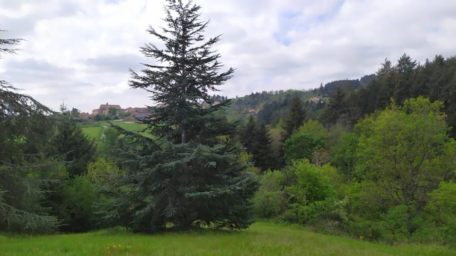 Domaine AbracadaRoom : Tiny house de la côte Roannaise - Image 10