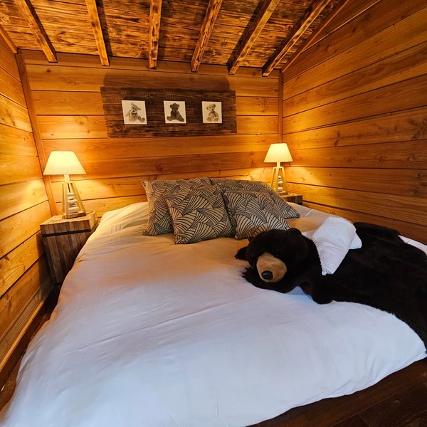 Hébergement AbracadaRoom : L'Ours Brun - Image 10
