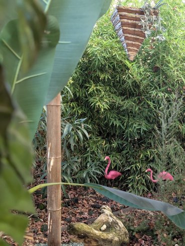 Hébergement AbracadaRoom : Nuit insolite avec Spa, sauna et jardin privatifs immersion en AMAZONIE - Image 30