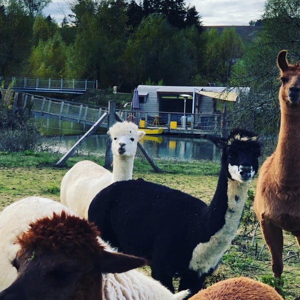 Hébergement AbracadaRoom : Lodge Duo Flottant Spa Les Clos - Image 15