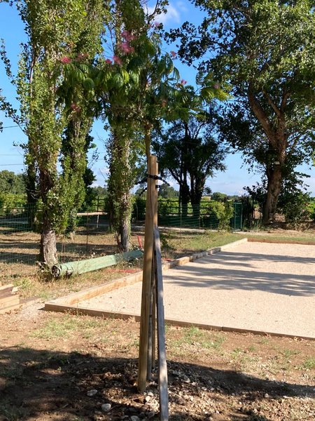 Hébergement AbracadaRoom : Hébergement Tonneau Prestige et sa piscine - Image 14