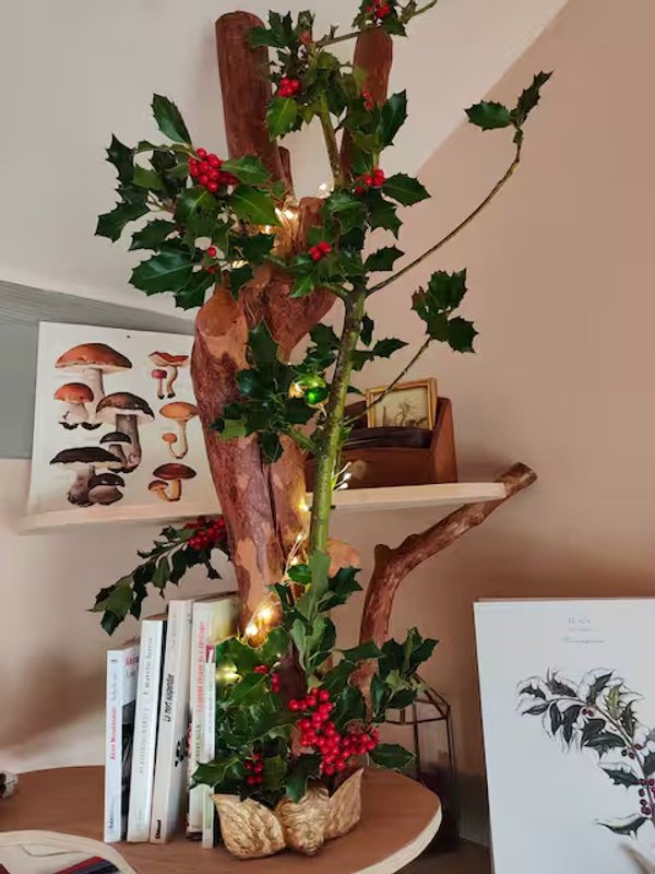 Refuge insolite avec vue panoramique à Habère-Lullin (24)