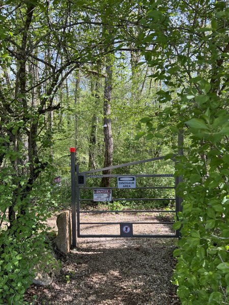 Hébergement AbracadaRoom : Cabane Perchée Jurassic - Image 24