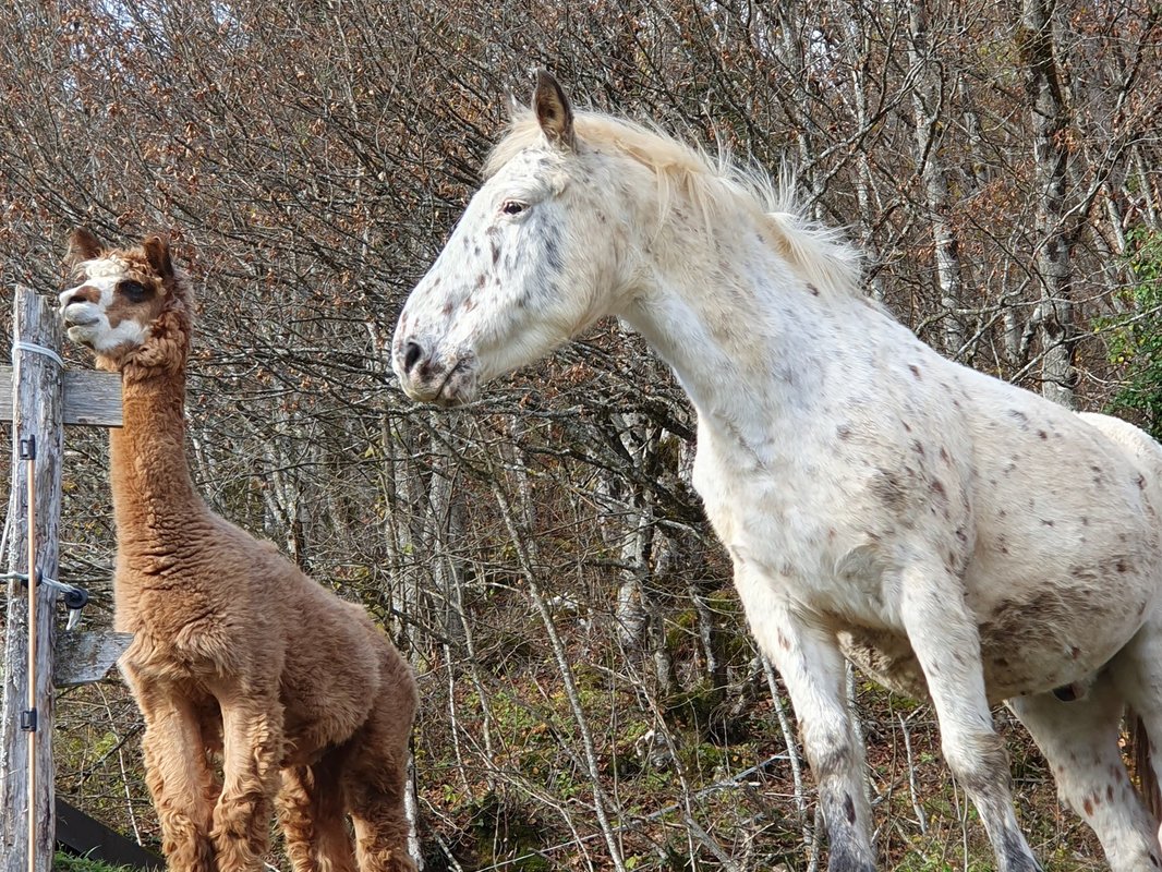 Le Dôme des Bauges & sa vue imprenable à Arith (30)