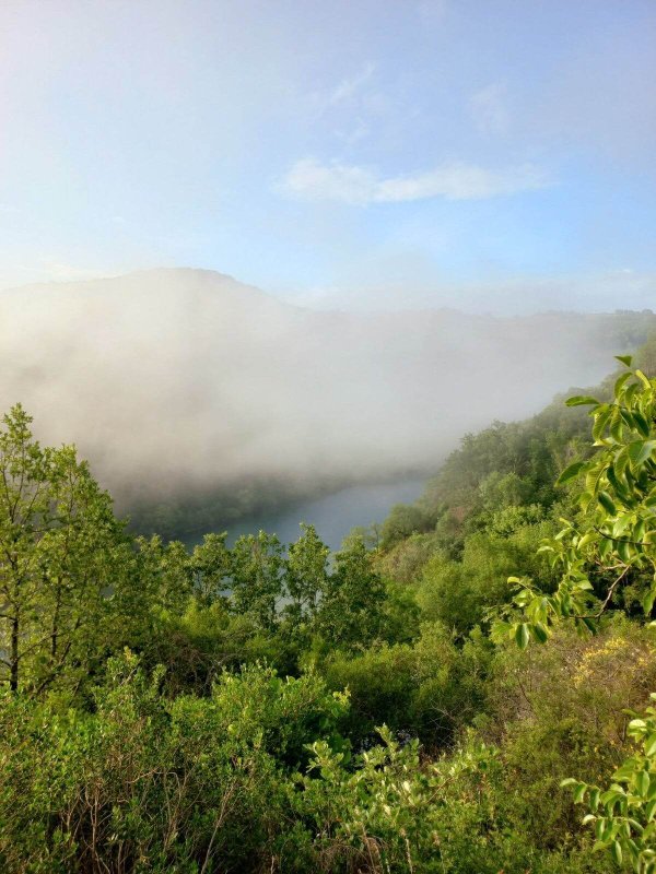 Sweet Dream & spa avec vue rivière à Réquista (5)