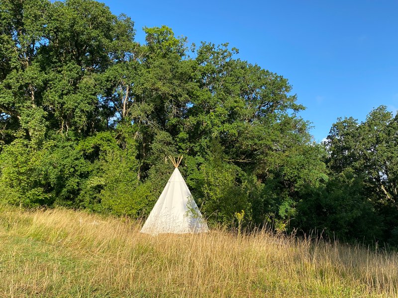 Hébergement AbracadaRoom : Le Tipidylle - Image 2