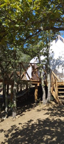 Hébergement AbracadaRoom : Le Zôme 12 - Image 4