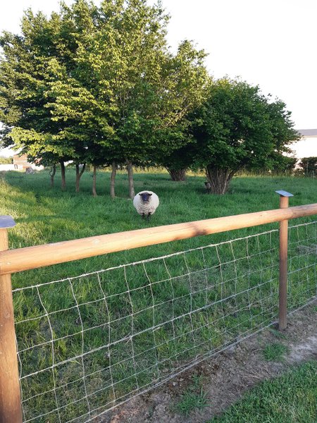 Domaine AbracadaRoom : L'insolit Ô Verger - Image 6