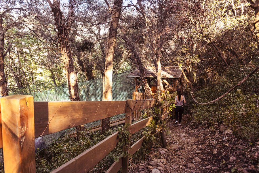 Hébergement AbracadaRoom : Le Miroir & filet suspendu - Image 20