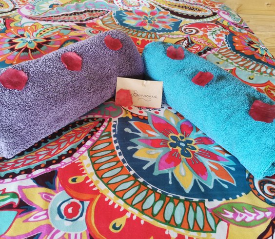 Hébergement AbracadaRoom : Cabane des Champs - Image 7