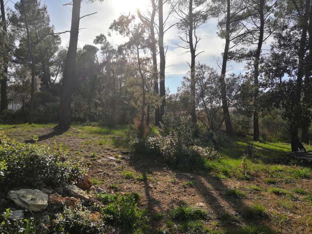 Yourte en Provence & piscine à Besse Sur Issole (41)