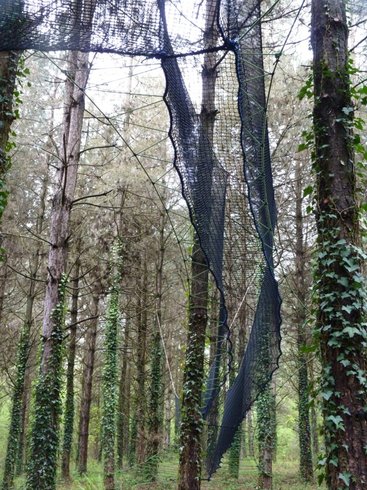 Hébergement AbracadaRoom : Les Palombes - Image 4