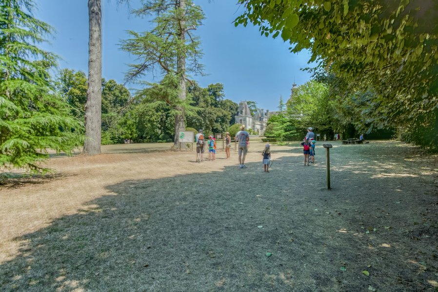 Domaine AbracadaRoom : Sur un Arbre Perché - Image 4