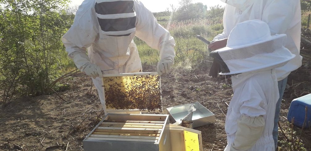 Domaine AbracadaRoom : Les Chemins d'Ambre & Thaïs - Image 4