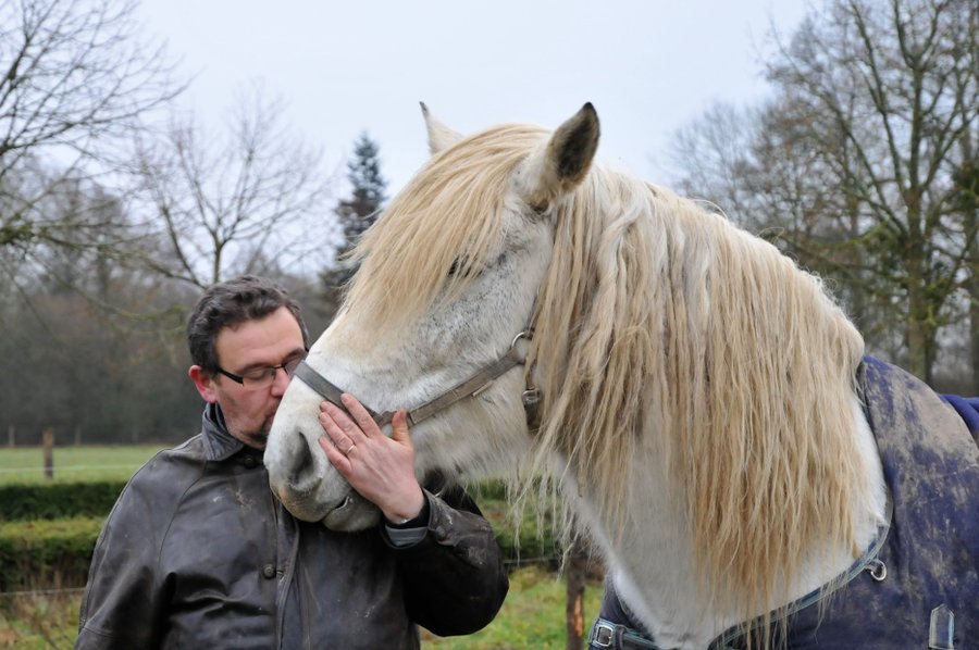 Domaine AbracadaRoom : CHATEAU DE BLAVOU - Image 8