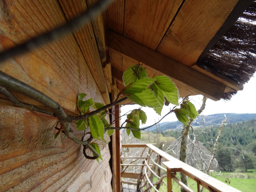 La Cabane des Fayards à Saint Agrève (9)