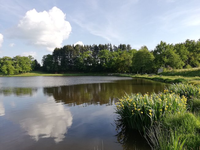 Hébergement AbracadaRoom : Au son du ruisseau - Image 4