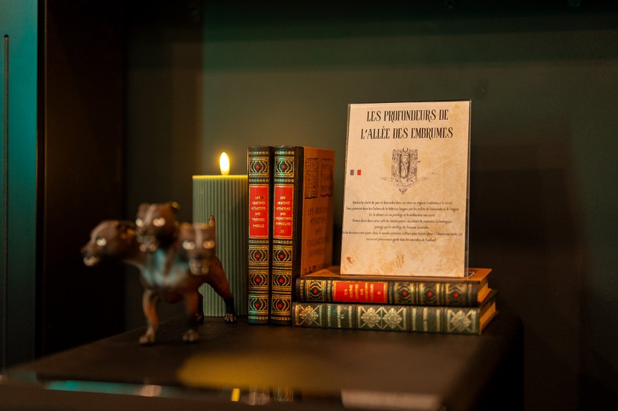 Domaine AbracadaRoom : Maison Wingardium - Image 21