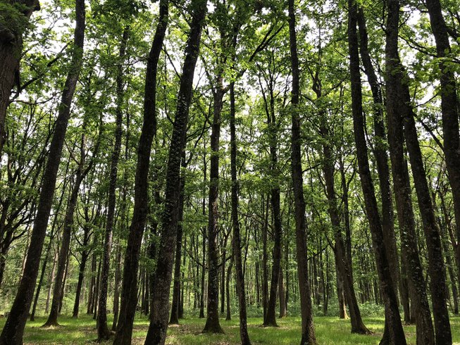 Hébergement AbracadaRoom : Suite  Arty + « Yellow Shelter » & Spa - Image 14