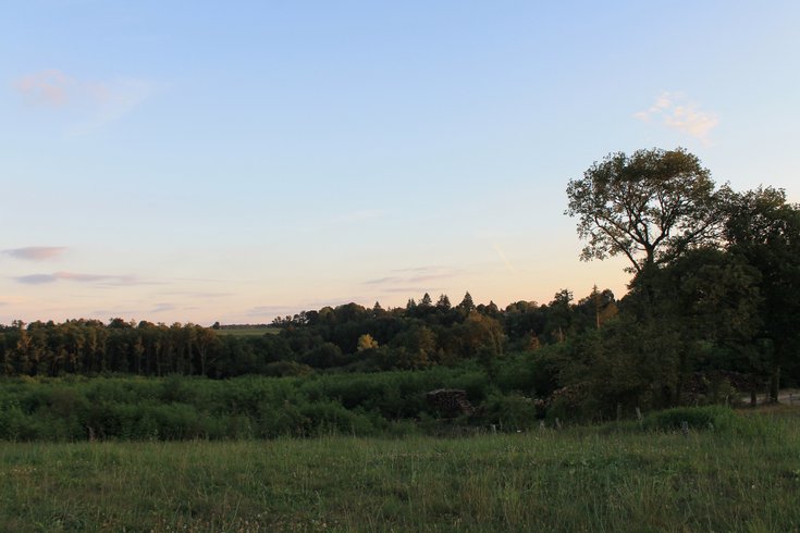 Domaine AbracadaRoom : L'Etoile Perchée - Image 14