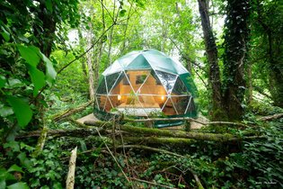 Géode Chêne Emeraude