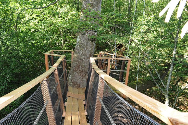 Hébergement AbracadaRoom : Girolles - Image 14