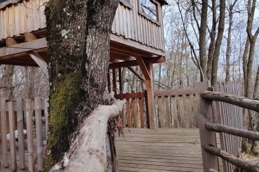 Tiny Pony – Dormir au milieu des chevaux jusqu' à 5 personnes à Saint-Donat-Sur-L'herbasse (4)
