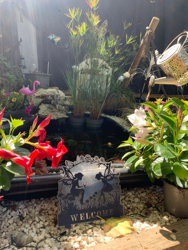 Domaine AbracadaRoom : L'Arche Enchantée - Image 11