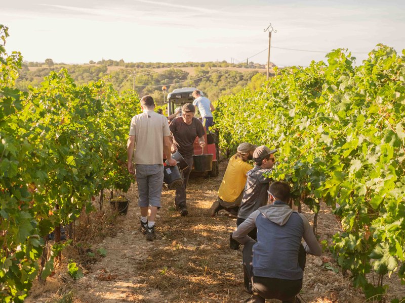 Domaine AbracadaRoom : Domaine Les Grandes Marges - Image 3