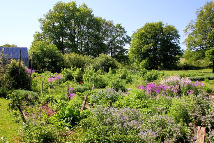 Hébergement AbracadaRoom : Un p'Tiny dans le jardin - Image 11