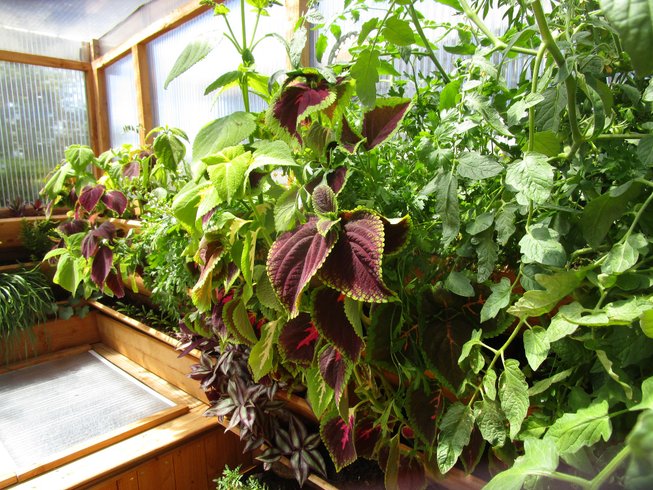 Hébergement AbracadaRoom : Serre des Brasseurs & Spa - Image 9