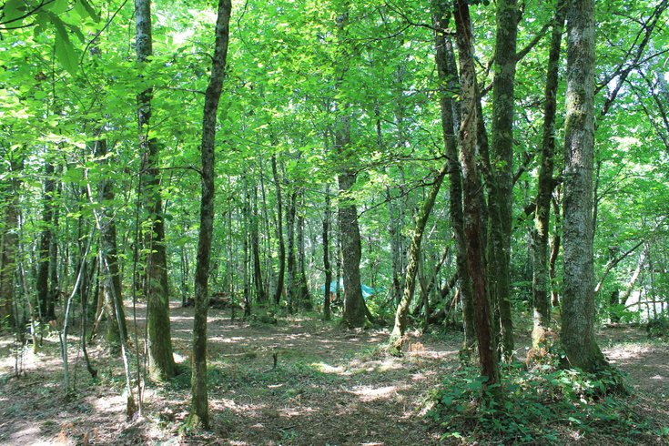 Domaine AbracadaRoom : L'Etoile Perchée - Image 9